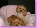 2DSCF1562.JPG